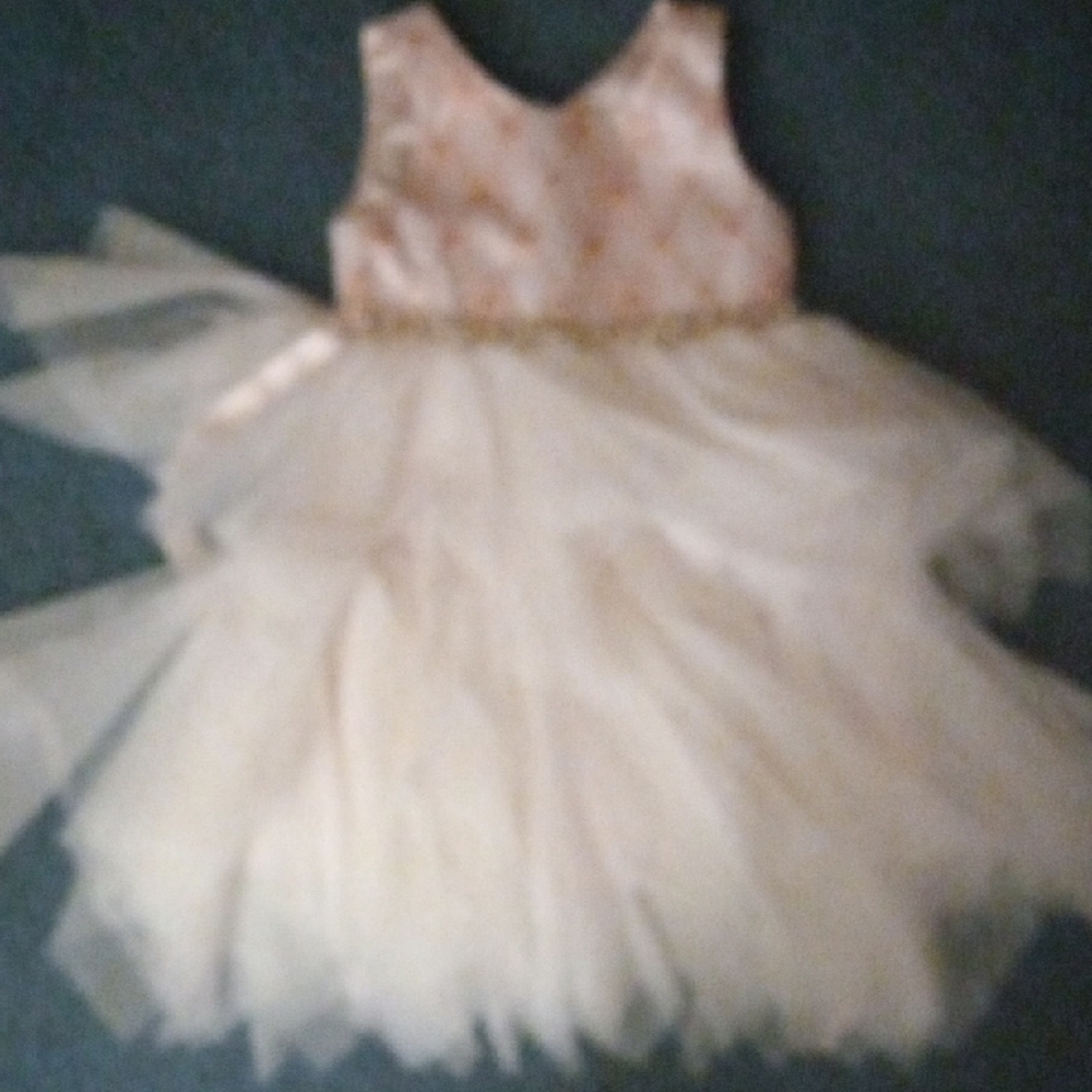Elegant Cream and Gold Tulle Dress